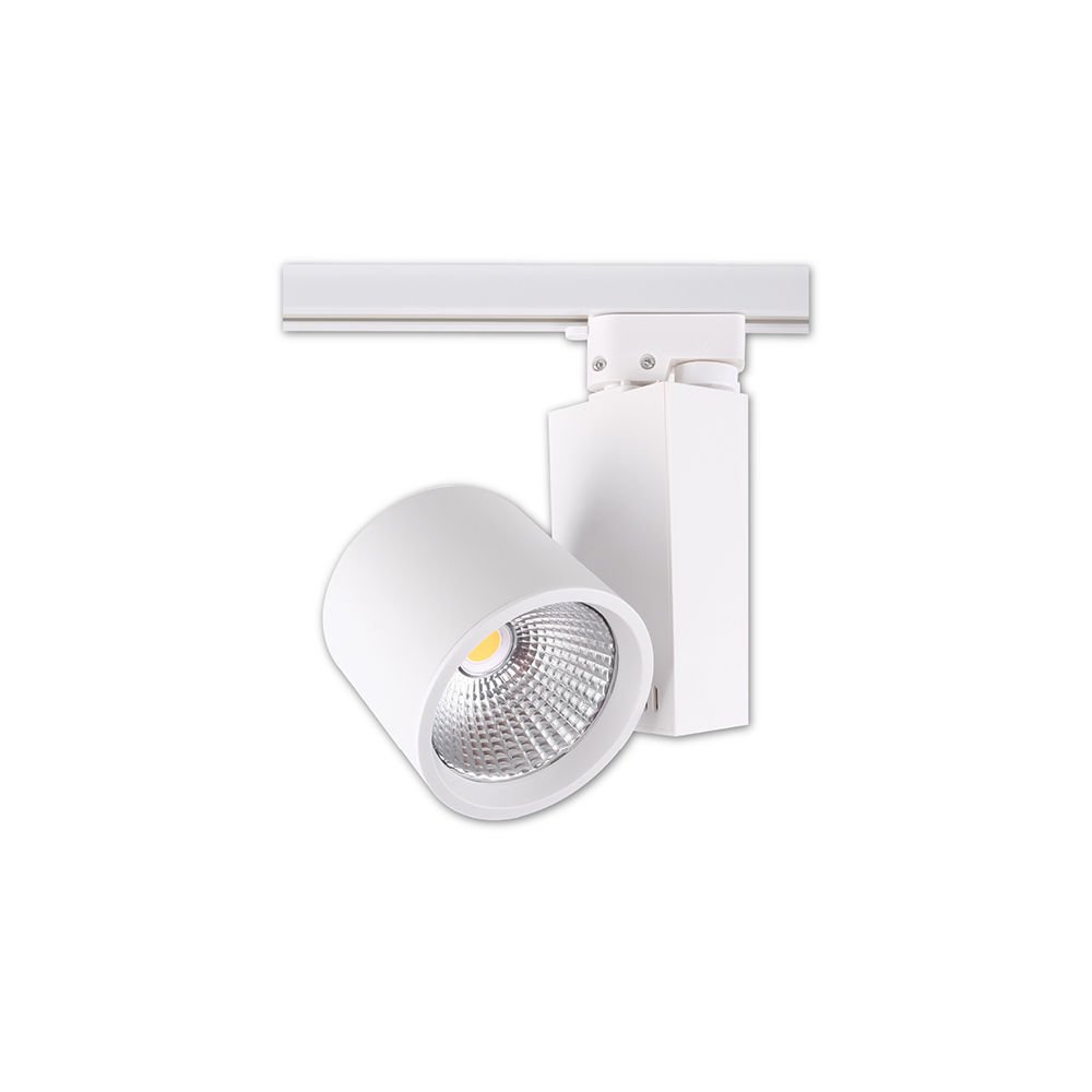 ACK 30W 4000K COB LED Ray Armatür AD30-04010