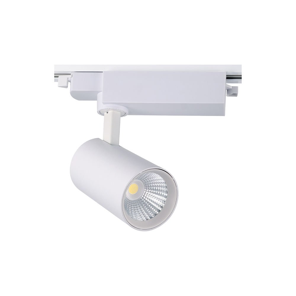 ACK 10W 3000K COB LED Ray Armatür AD30-11000