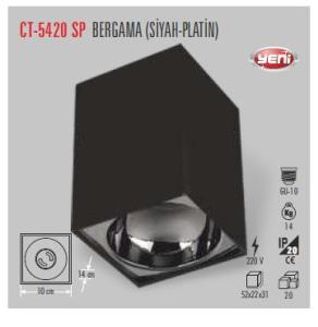 Cata Bergama Siyah Platin Dekoratif Armatürü CT-5420SP