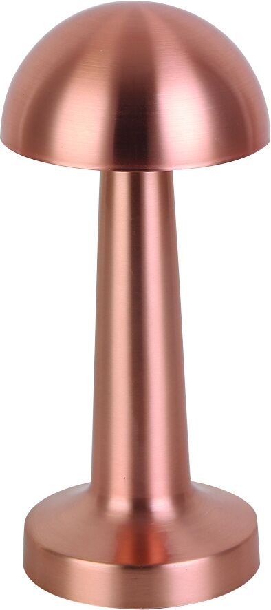 Forlife Sakarya Şarjlı Led Masa Lambası FL-8054