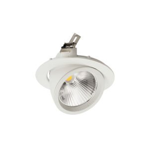 ACK 30W COB Led Salyangoz Armatür 3000K AD36-00400